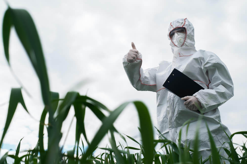 Pest Control Innovations