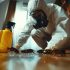 Pest control FAQs